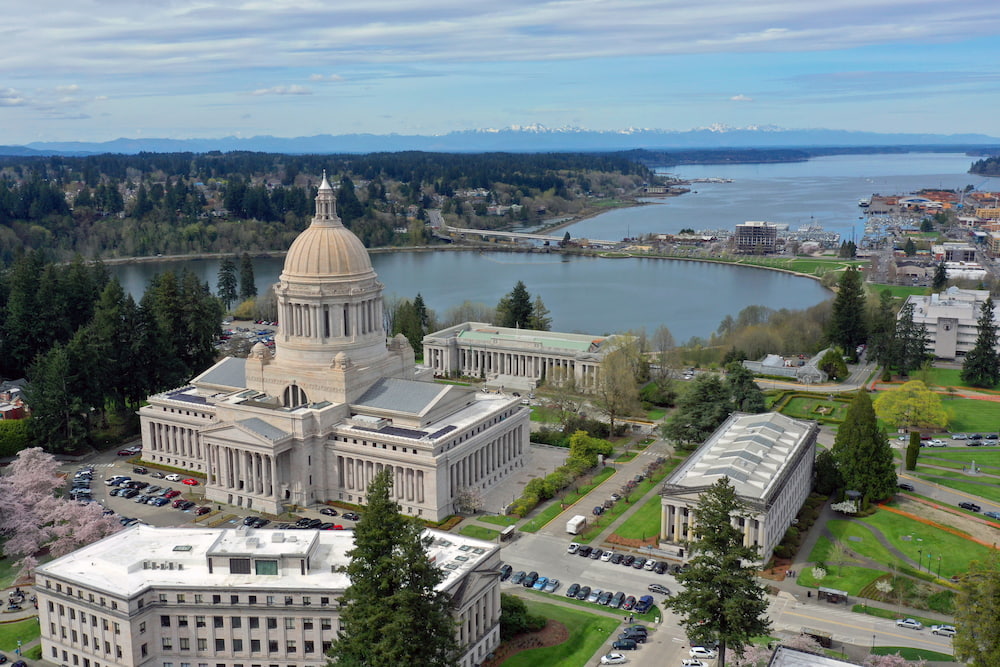 Aerial Perspective Over Spring Cherry Blossoms at the Washington State Capital building in Olympia